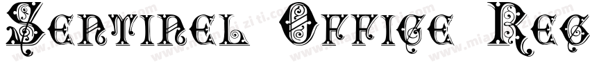 Sentinel Office Regu字体转换